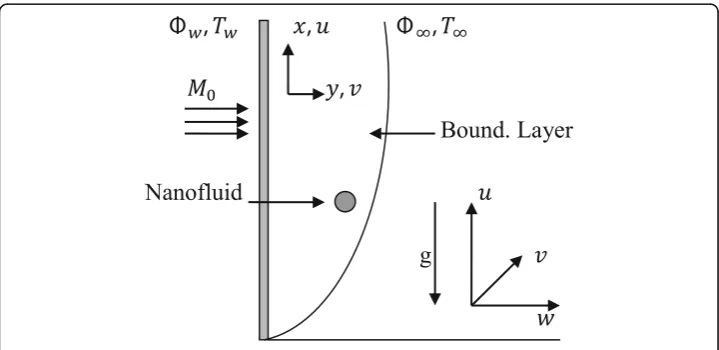 Fig. 1 Physical representation of the flow problem