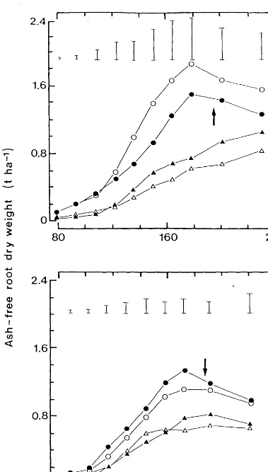 Figure 5.6: Total ash-free root dry weight per unit area of ground surface of winter wheat and perennial ryegrass