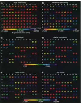 Figure 1: The ﬁrst reported use of miniaturized microarrays for gene expression proﬁling appeared inSchena[1997] reported an assay of 2,479 genes in the yeastto 47,000 genes (e.g
