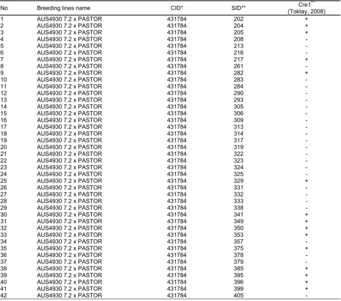 Table 1.  List of F 9  breeding lines derived from AUS4930 7.2 x Pastor crosses and screened in this study 