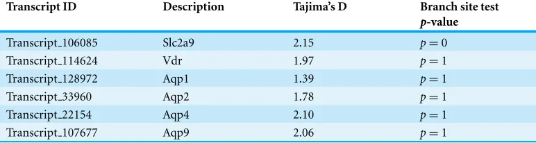 Table 5 Several candidate genes were evaluated using Tajima’s D and the branch site test implementedin PAML.