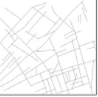 Figure 4. Results. Figure. 4(a) and (b) Road network extracted from Figure. 3(a) and (b) using Adaptive Directional Filtering and road regularization