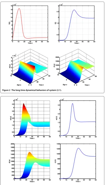 Figure 2 The long time dynamical behaviors of system (2.1).