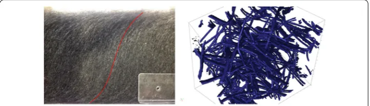 Figure 6 Nonwoven material sample after thermobonding. Left: Photo (MD cut plane), ramp-like contourline in microstructure