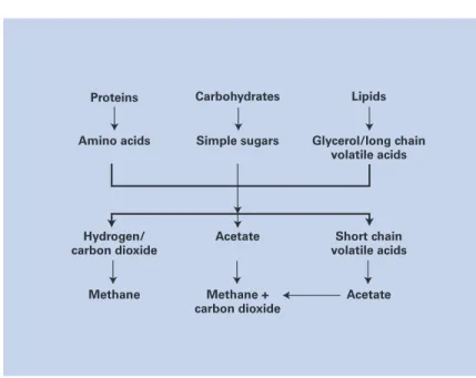 Table 2. Important Microbial Groups Promoting  Anaerobic Waste  Degradation