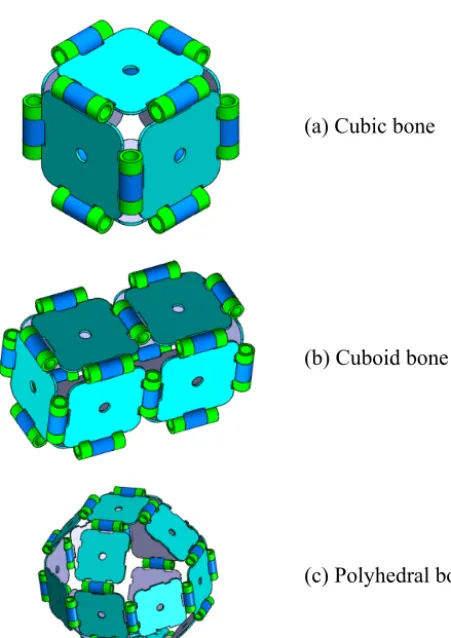 Figure 2. Bio-inspired mechanical bones.