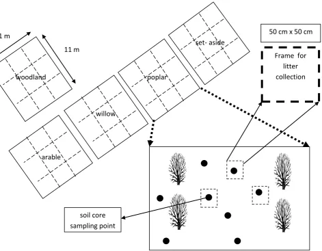 Figure 11. Soil and litter sampling points in field plots   