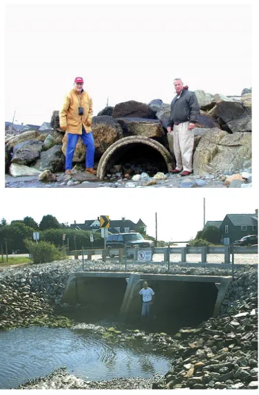 Figure 1. Old and New Culverts: upper photograph shows outlet (Gulf of Maine side) of the original 1.2 m (48-inch) culvert; pictured below is the marsh side of the new culvert (two side-by-side 1.8 by 3.6 m or 6 by 12 foot culverts)