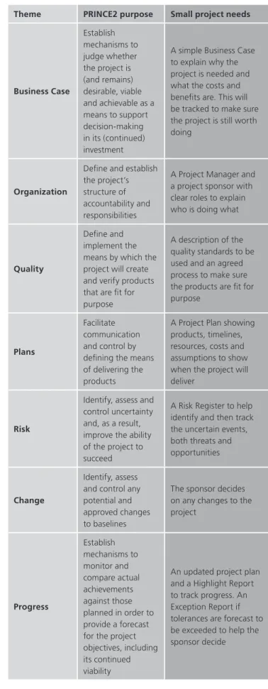 Table 3  Tailoring themes for small projects
