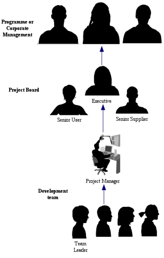 Figure 1 - Basic organizational structure 
