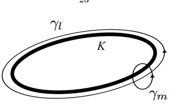 Figure 3.1: Meridian cycle γm and longitude cycle γl on the boundary of a knot complement