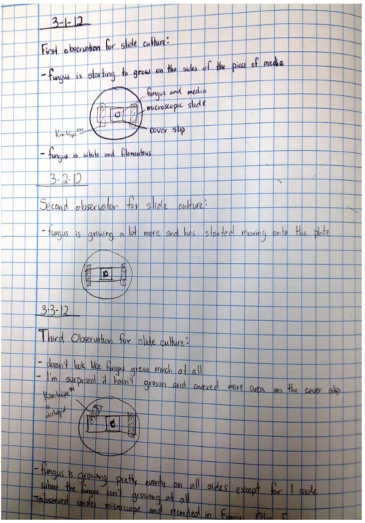 Figure 4.  This notebook page is legible and documents the student’s daily observation of his/her  slide culture