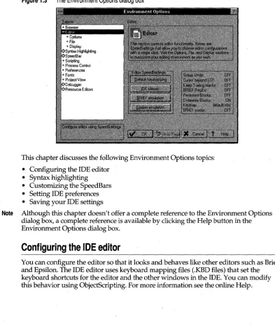 Figure 1.3 The Environment Options dialog box 