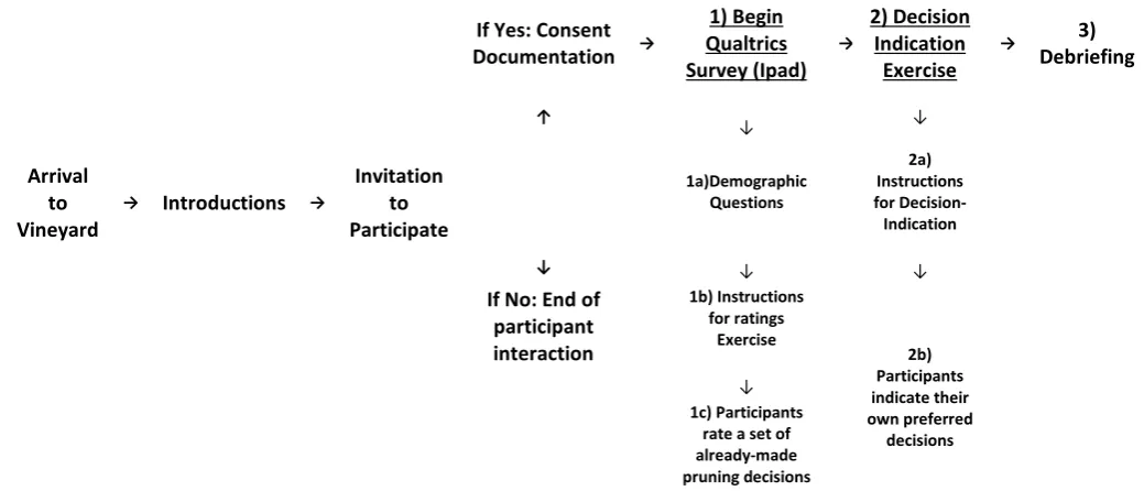 Figure 3-2: Flow of events for typical vineyard visit 