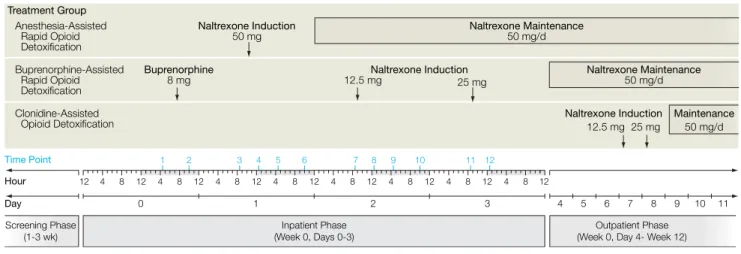 Figure 2. Timeline of Study Procedures
