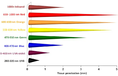 Figure 1.8: Light penetration through the tissue. Adapted from reference 53. 