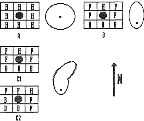 FIgure  4.  The  Cellular  NeIghborhood  of  FIre.  The  letters  In  each  of  the  cells  represents  head,  flank  or  back  fIres,  dependIng  on  the  orIentatIon  to  the  dIrection  of  the  wind