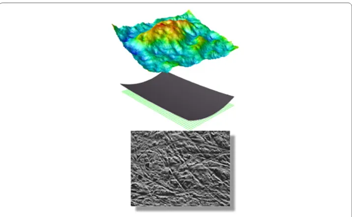 Figure 3 Curling and cockling of a paper sheet due to moisture expansion of non-optimally orientedﬁbres in paper.