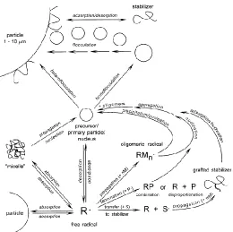 Figure 1.5 Schematic representation of mechanisms involved in free radical dispersion polymerisation 