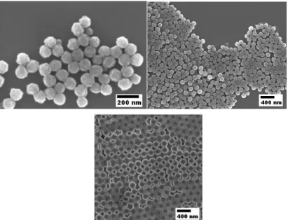 Figure 2.4 (Top)FEG-SEM micrographs of Janus seed particles with HEMA corona (TS255-Seed)