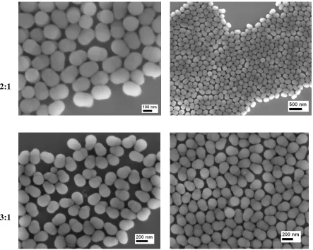 Figure 2.8 FEG-SEM images of Janus particles, including high magnification at different m/p ratios as indicated on the left (1:1 – TSGN-1-1, 2:1 – TSGN-2-1, 3:1 – TSGN-3-1) 