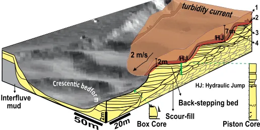 Figure 3. Crescentic bedform deposits. A: Along-strike stratigraphy computed from 106 bathymetrical surveys, and comparison of the features with ancient crescentic bedform deposits (see Fig