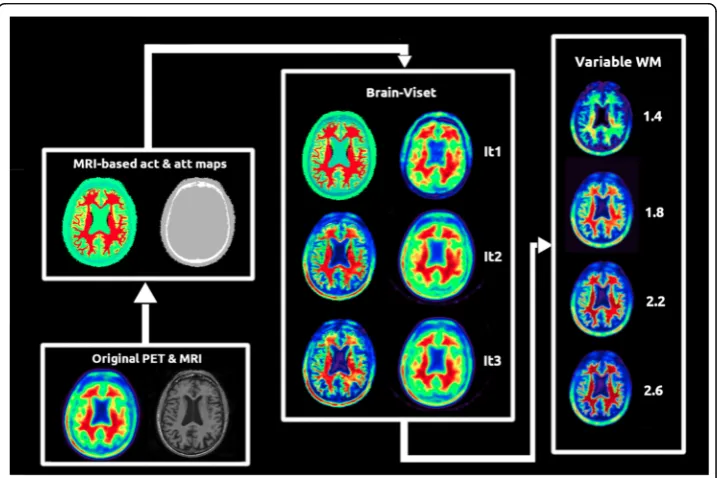 Fig. 2 Layout of the BrainViset procedure used for the generation of realistic activity maps for ourMC simulation