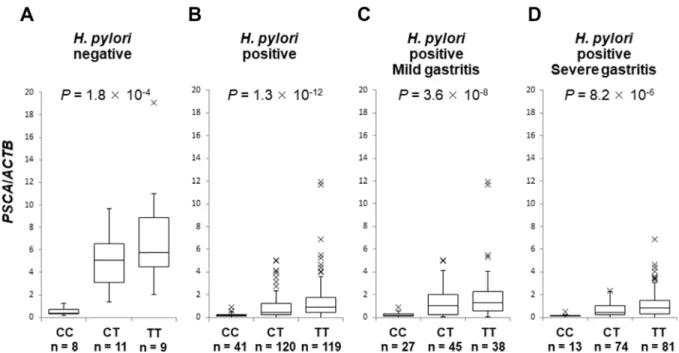 Figure 3: The association of SNP rs2294008 with PSCA expression.  Box-plots with medians for PSCA expression normalized to 