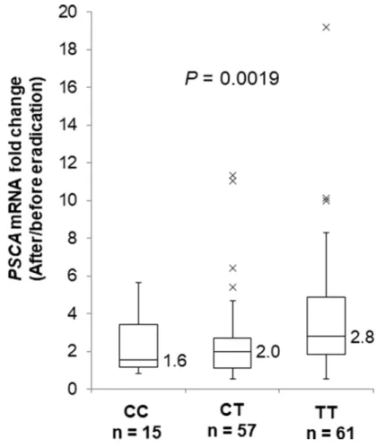 Figure 4: Fold PSCA mRNA induction by H.  pylori eradication. Box-plots with medians fold induction of PSCA expression  normalized to ACTB