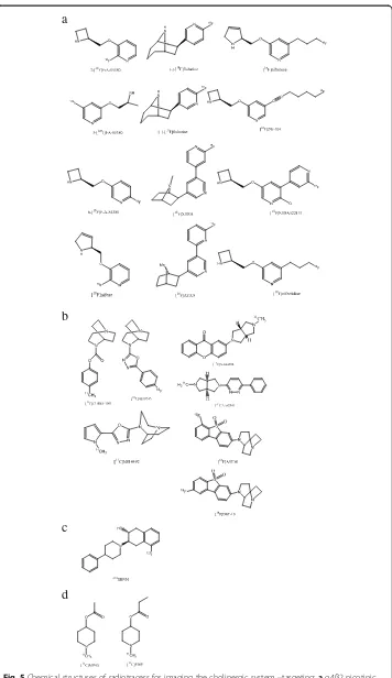 Fig. 5 Chemical structures of radiotracers for imaging the cholinergic system –targeting: a α4β2 nicotinicacetylcholine receptors (nAChRs), b α7 nAChRs, c vesicular acetylcholine transporter and d acetylcholinesterase