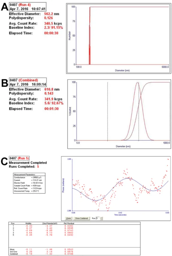 Figure 1: Analysis of the particle size and diameter of complexes.  (A) The complexes showed small diameters and optimal  polydispersity