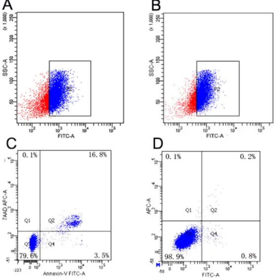 Figure  3:  Results  of  transfection  efficiency  and  apoptosis.   (A)  Analysis  of  FITC-positive  SMMC-7721  cells  in  group  G:   79.77 ± 1.72% were FITC-positive, indicating highest transfection efficiency in group G