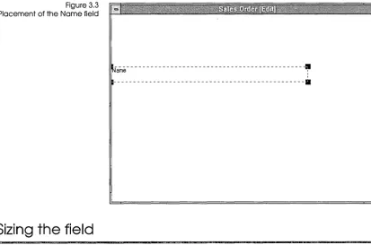 Figure 3.3 Name field 