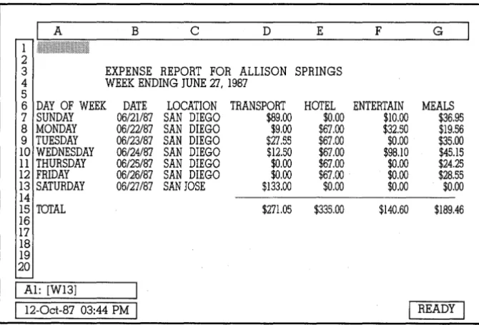 Figure 5.2: The Allison Springs Expense Report Spreadsheet 