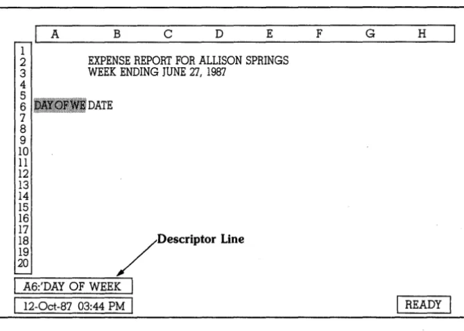 Figure 5.3: Creating Headings for the Allison Springs Spreadsheet 