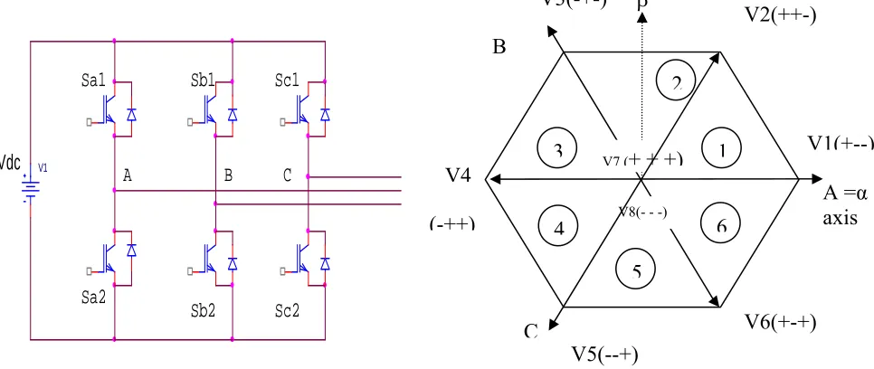 Fig.1. Three phase stator winding-schematic representation 