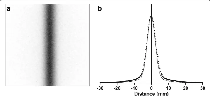 Fig. 10 Line source image (a) and profile (b)