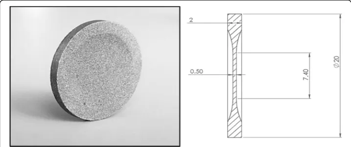 Fig. 1 Photograph of SLM disk and schematic diagram of disk dimensions