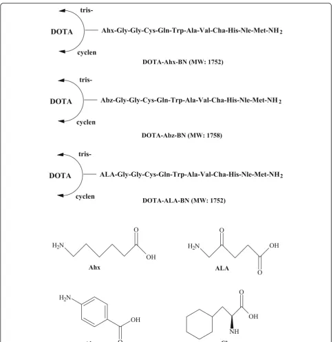 Fig. 3 Structures of the bombesin peptide derivatives prepared by solid-phase peptide synthesis