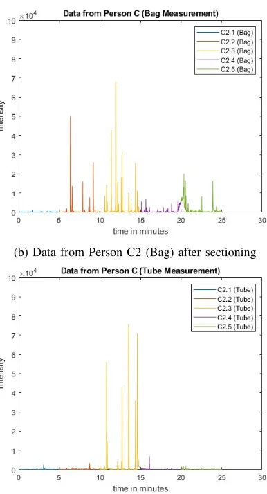 Fig. 19: Sectioning of person C