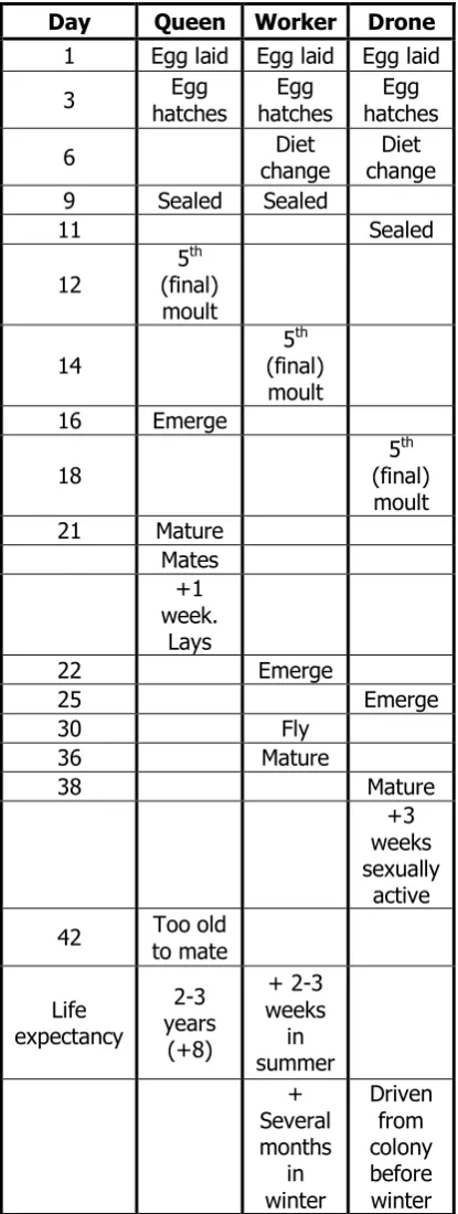 Table 1.1: 