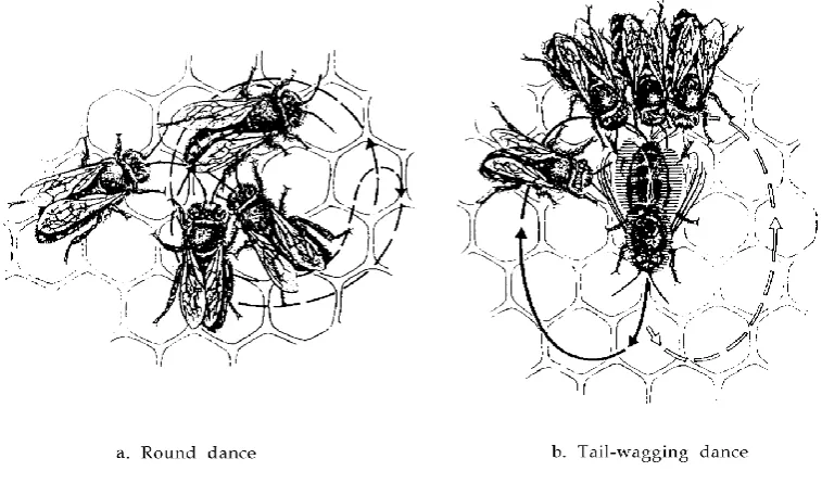 Figure 1.1: 