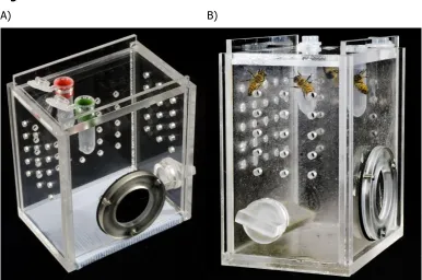 Figure 2.1: 