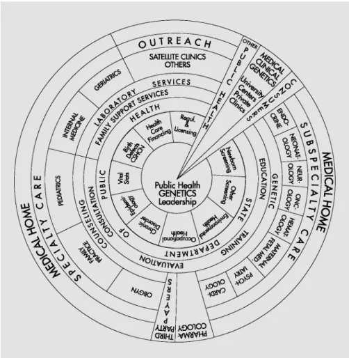 Fig. 4.  Structural integration of genetics and public health.