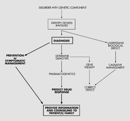 Fig. 7.  Schematic diagram of the anticipated direction of genetic medicine. The role of the primary  caregiver  within  this  scheme  is  in bold.