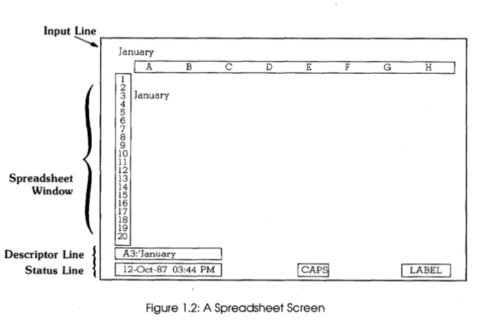 Figure 1.2: A Spreadsheet Screen 
