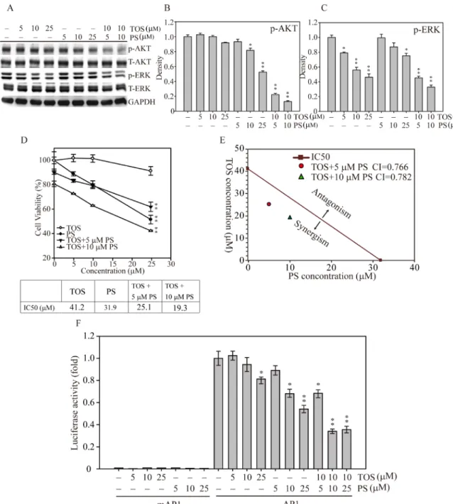 Figure 4: AKT and MAPK signaling-mediated cell growth regulation after α-TOS and PS treatment in MDA-MD-231  cells