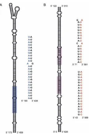 Fig. 3 live 4/C