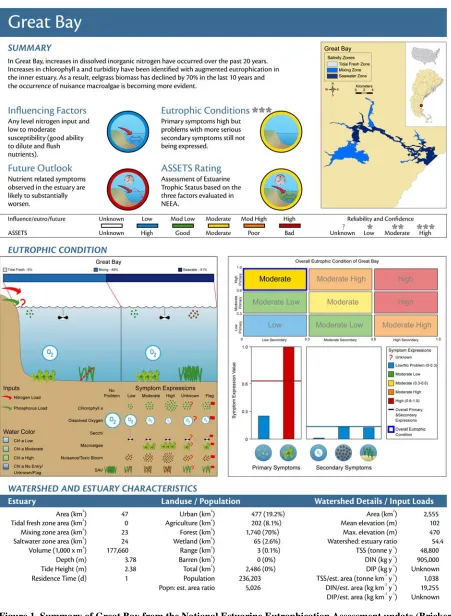 Figure 1. Summary of Great Bay from the National Estuarine Eutrophication Assessment update (Bricker et al