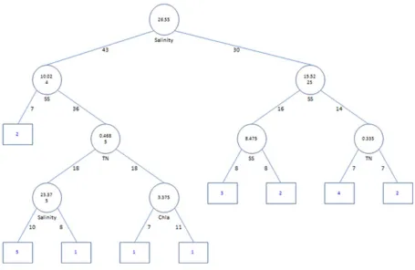 Figure 4. A “best fit” Classification Tree 